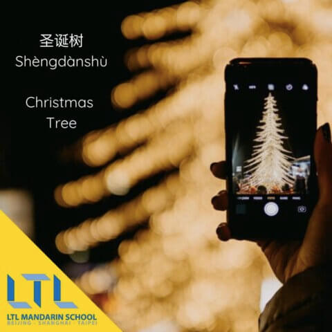 Christmas in China - Christmas Tree